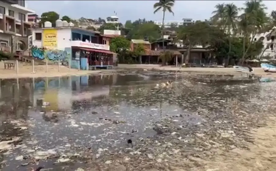 Así luce de contaminada la Bahía Principal.