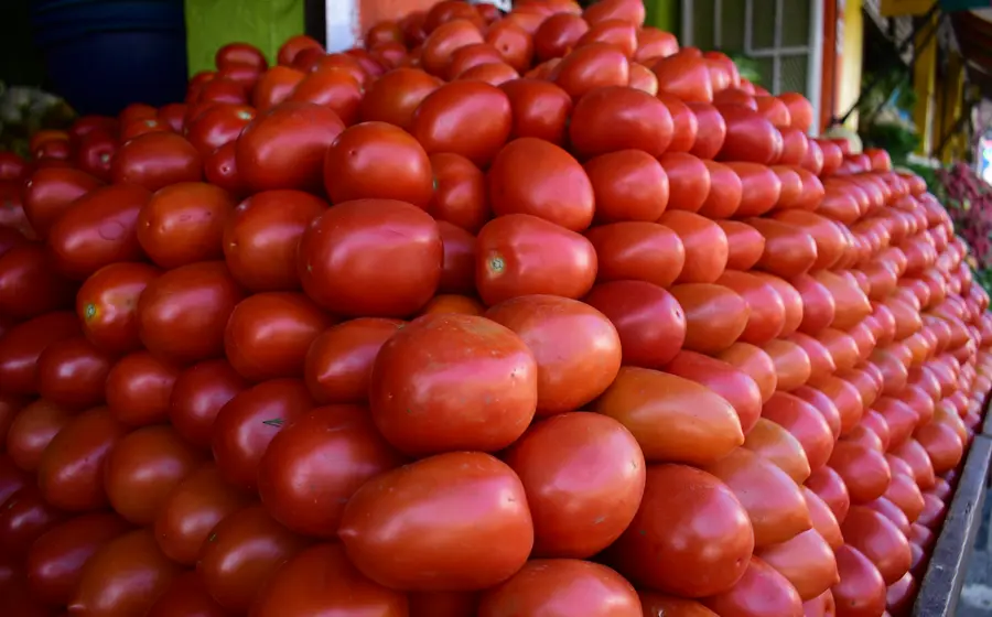 El costo por kilo aumentó de 43.24 a 55.50 pesos.