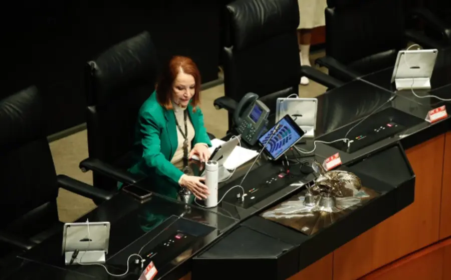 Laura Itzel Castillo, presidenta del Senado.