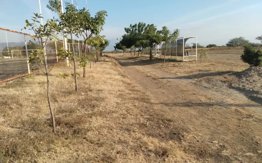 El proyecto “Sombra y Vida” ha transformado un espacio antes abandonado.