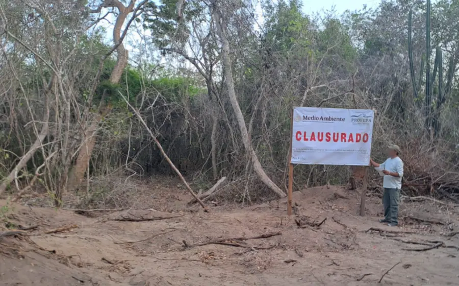 Clausuran 3 predios en Huatulco por devastación de selva sin permisos
