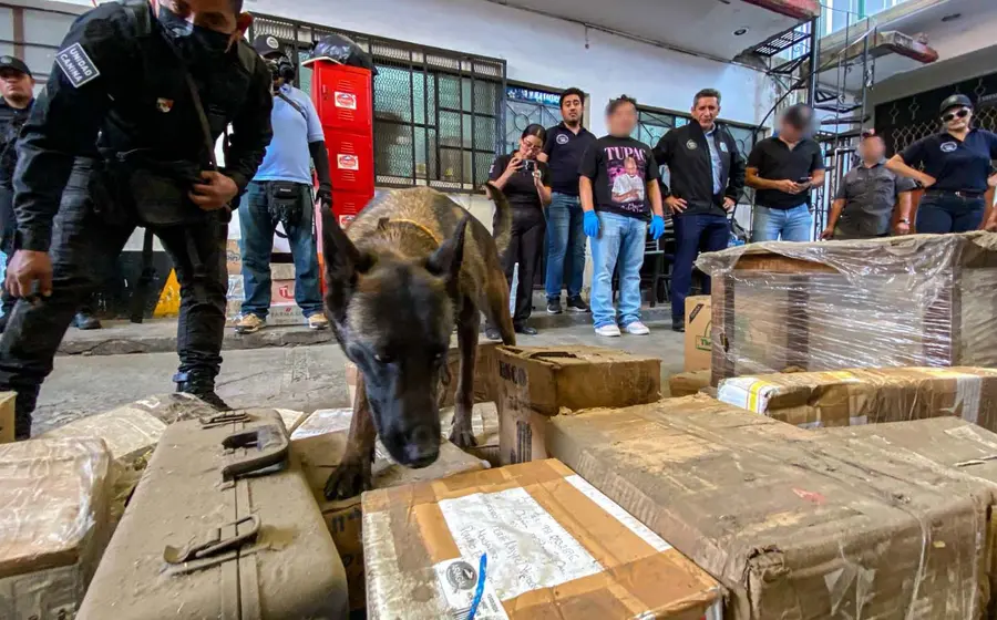 Binomios caninos detectaron sustancias ilícitas.