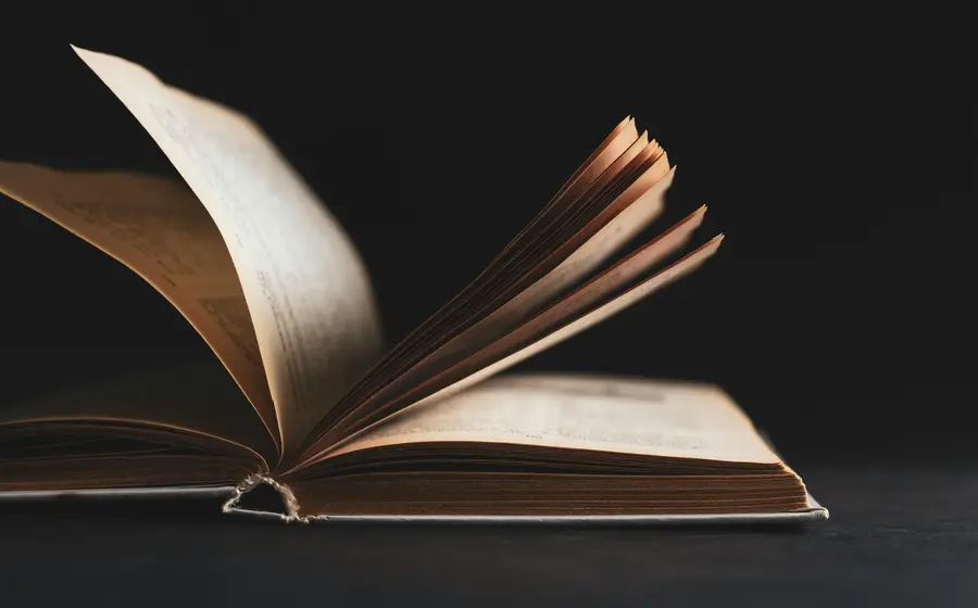 Lanzan convocatoria nacional para jóvenes novelistas.