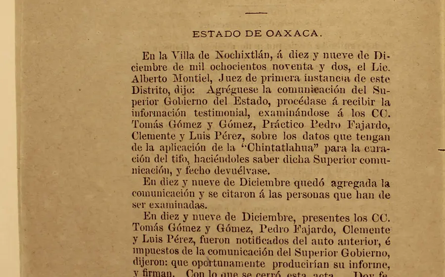 Documento del siglo XIX de Nochixtlán, Oaxaca, donde se citan las personas que darían testimonio sobre el uso de la medicina chintatlahua.