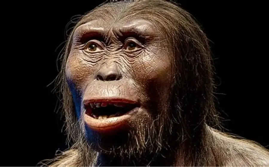 Ilustración que muestra la línea evolutiva del ser humano, descendiendo de una rama de primates emparentada con los grandes simios.