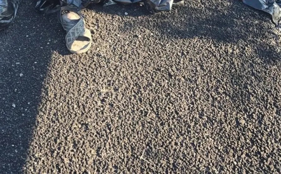 Los restos de un hombre fueron hallados en la carretera de cuota a la costa, en Barranca Larga, Ejutla de Crespo.