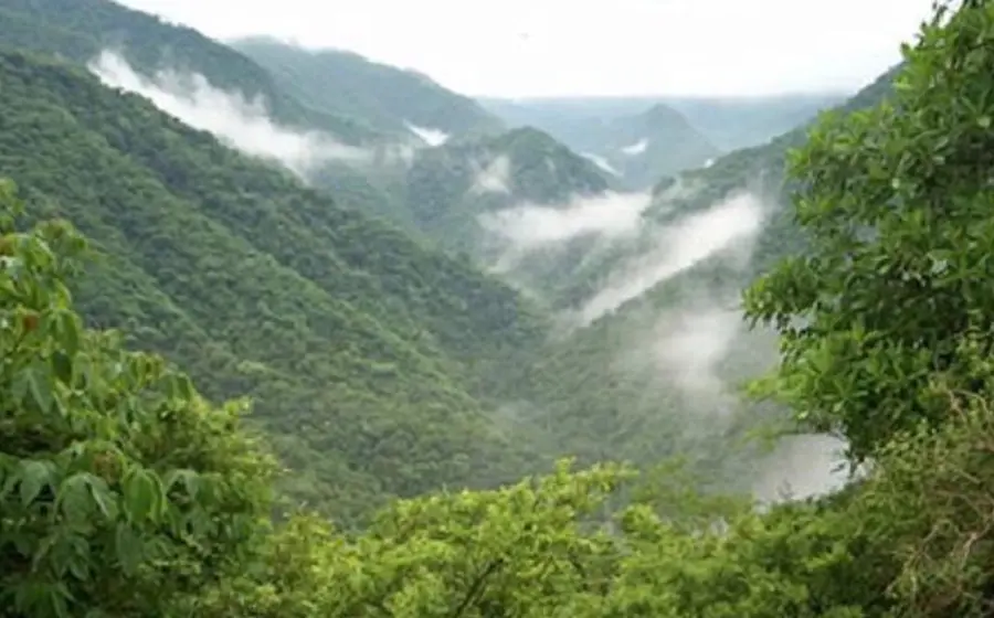 Vista panorámica de la selva de los Chimalapas en Oaxaca, región para la cual se emitió una alerta temprana por posibles riesgos ambientales.