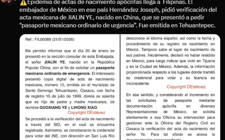 La periodista Dolia Estévez, quien reveló la existencia de un mercado negro de actas de nacimiento en México, en un retrato profesional.