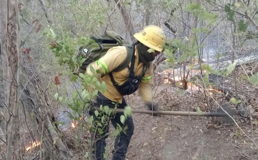 Uno de los dos incendios forestales que permanecen activos en la región del Istmo de Tehuantepec, donde trabajan brigadas de COESFO y CONAFOR.