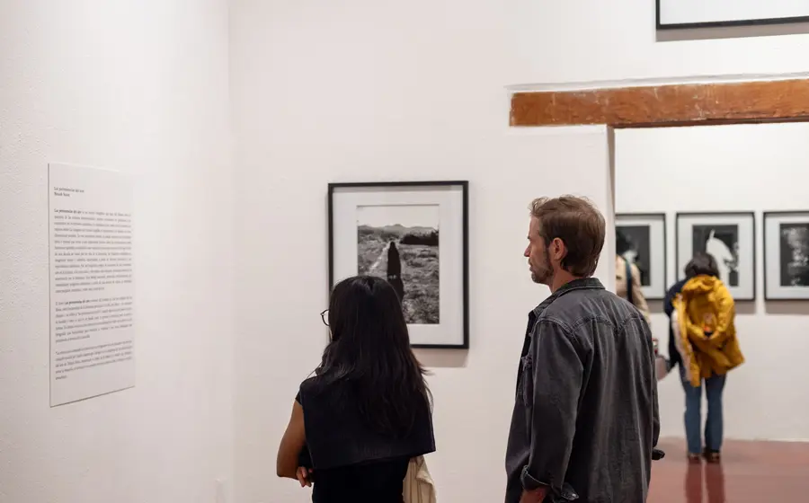 El fotógrafo Musuk Nolte durante la presentación de su ensayo 'Las pertenencias del aire', una obra que explora su experiencia con la ayahuasca.