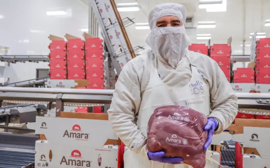 Cortes de carne de res y cerdo que ilustran los nuevos aranceles y límites de importación aprobados por los productores del sector.