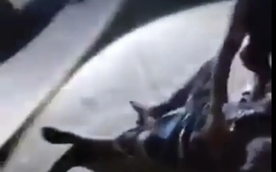 Parricidio tras brutal riña con machete y cuchillo.