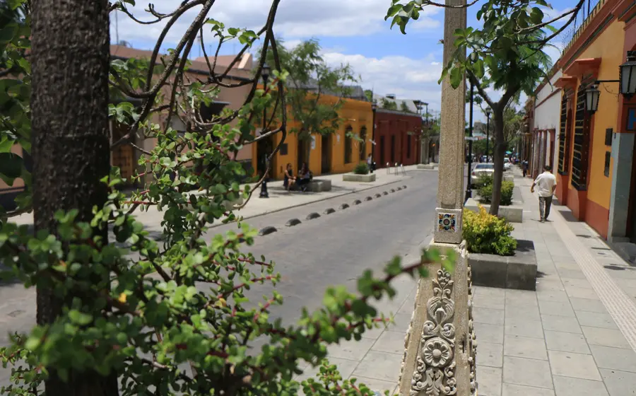 Una colorida y diversa calle del centro histórico de Oaxaca, con su arquitectura colonial y ambiente vibrante que representa la riqueza cultural de la ciudad.