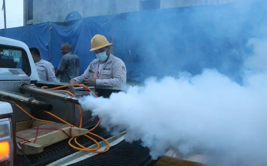 Imagen representativa del mosquito Aedes aegypti, transmisor del dengue, ilustrando el riesgo de propagación debido a la combinación de calor y lluvias.