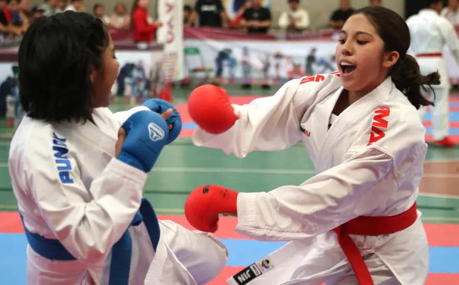 Dos atletas compiten en un emocionante combate de artes marciales durante el campeonato estatal de karate, mostrando su técnica y disciplina.