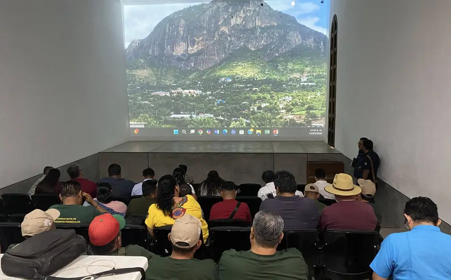 Imagen que muestra la grave deforestación en la selva de los Chimalapas, donde se ha perdido más del 20% de la cobertura forestal.