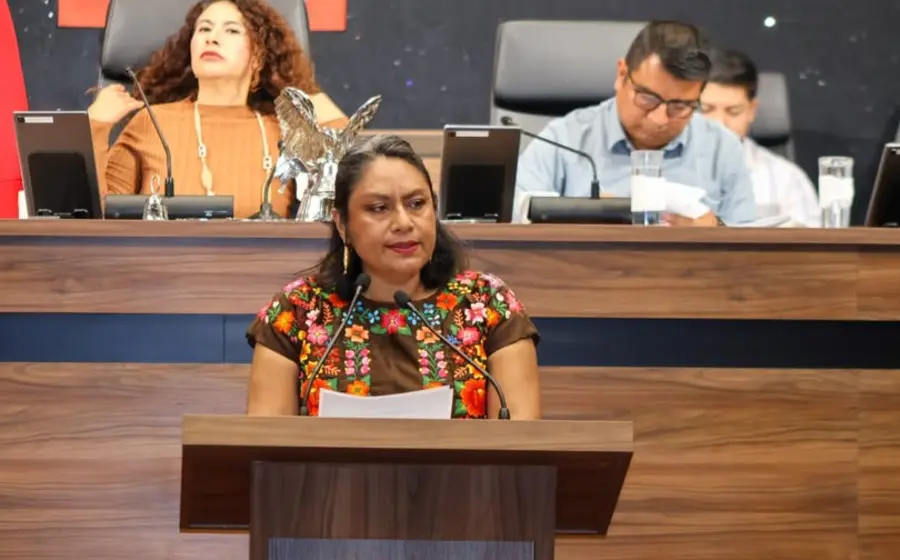 La legisladora Irma Pineda durante su intervención donde cuestionó los criterios de distribución del presupuesto y la falta de una política cultural en la entidad.