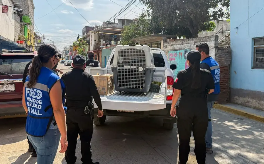 Dos perros son rescatados por autoridades de una casa abandonada durante un operativo en la colonia Reforma Agraria de Xoxocotlán.
