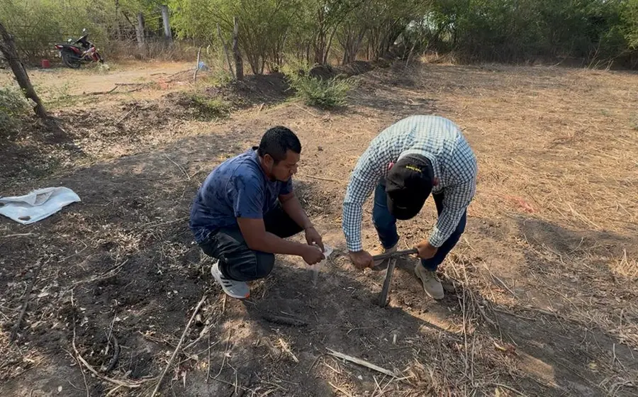 Alertan que malas prácticas agrícolas están dejando suelos improductivos.