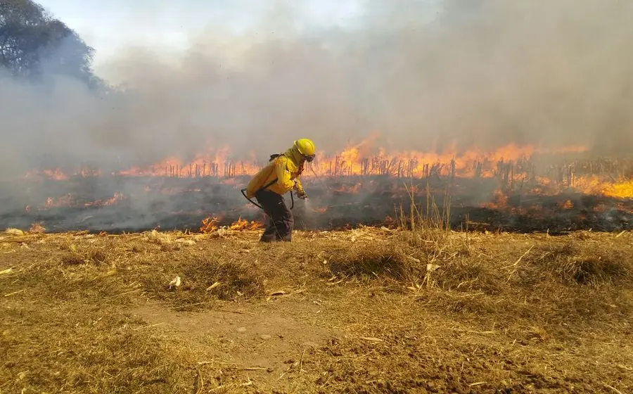 Fuego en el Istmo: vientos y quemas agrícolas mantienen activos dos incendios.