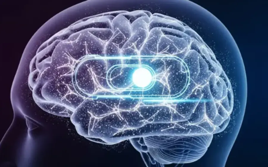 La adicción se redefine como un problema de circuitos neuronales específicos.