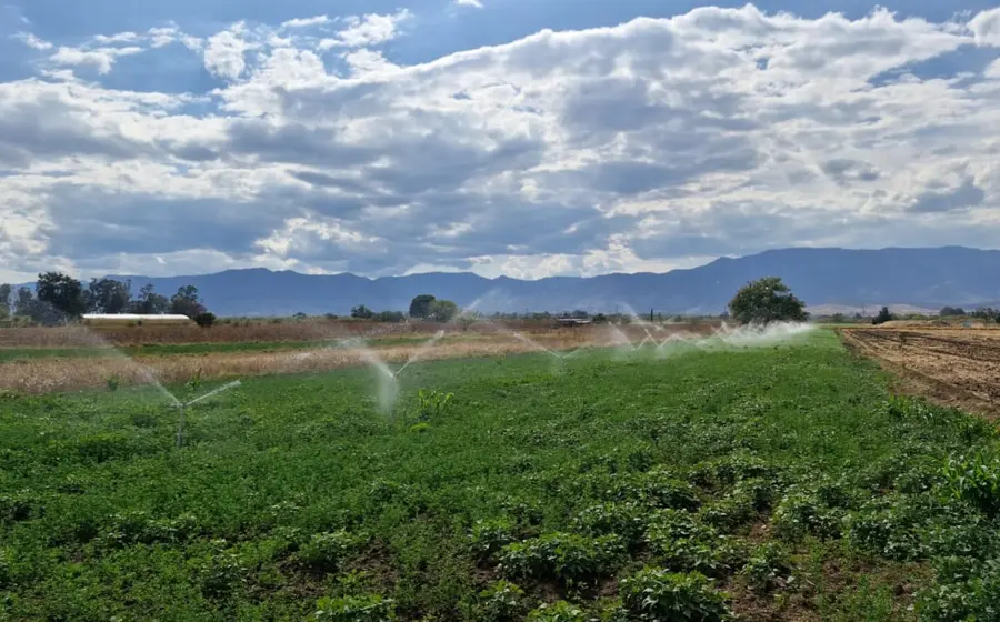 La estrategia prioriza la optimización del agua.ov