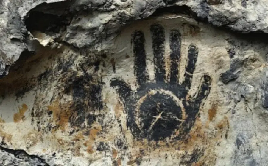 Especialistas trabajaron en una cueva localizada cerca de Waitomo.