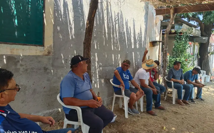 La enramada marca el arranque de la festividad en honor a San Pedro Mártir.