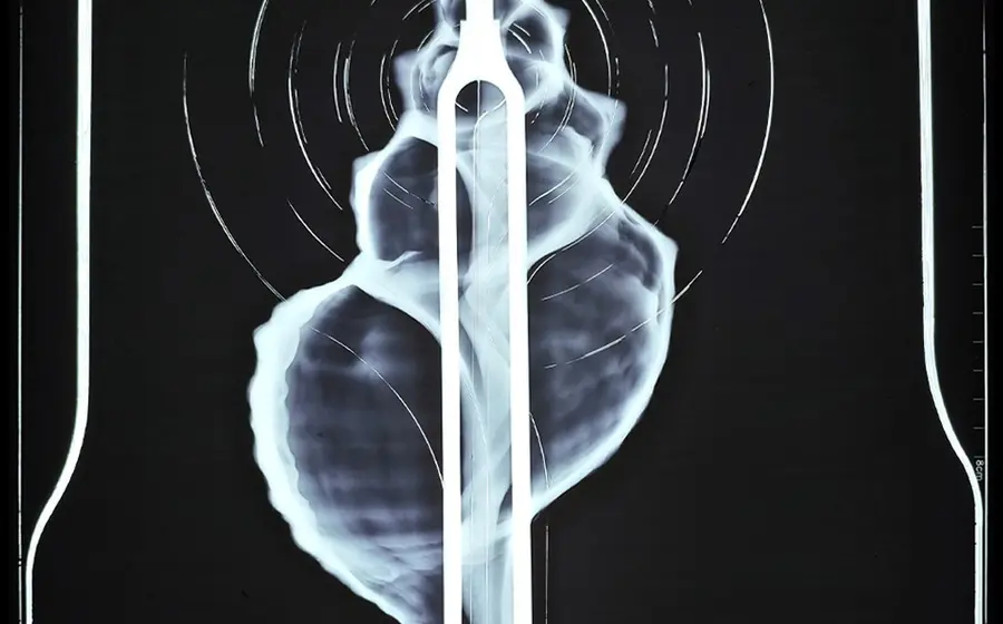  La obra ganadora “Resonancias” se presentará en exposición en el Centro Fotográfico Manuel Álvarez Bravo.
