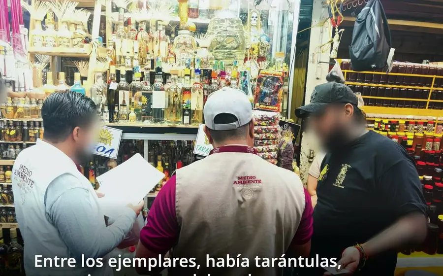 Vendían mezcal con especies exóticas.