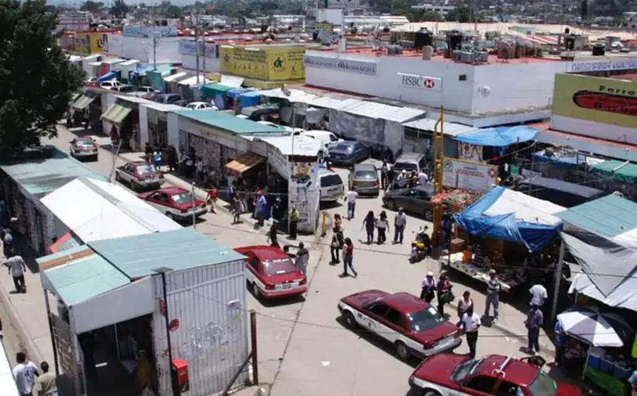Mercados de Oaxaca bajo la lupa: piden sanciones por tráfico de biodiversidad.