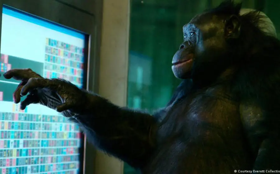 El bonobo Kanzi es observado durante un experimento controlado en el que logra identificar con éxito varios objetos imaginarios.