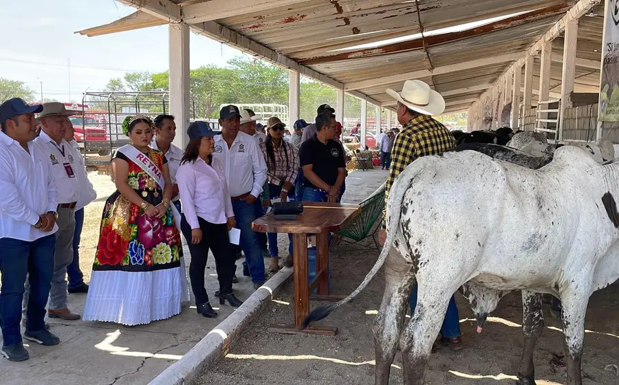 La Unión Ganadera Regional del Istmo de Tehuantepec (UGRIT) confirma la cancelación de la Expoferia Ganadera en Juchitán debido a problemas de organización.