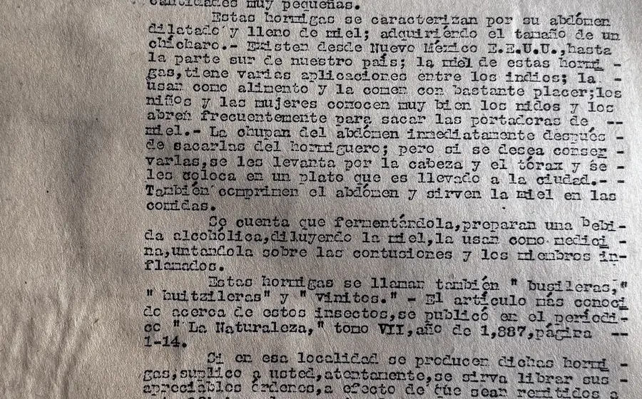 Documento de la Circular no. 37, una petición oficial para localizar y recolectar ejemplares vivos de hormigas mieleras para su estudio.
