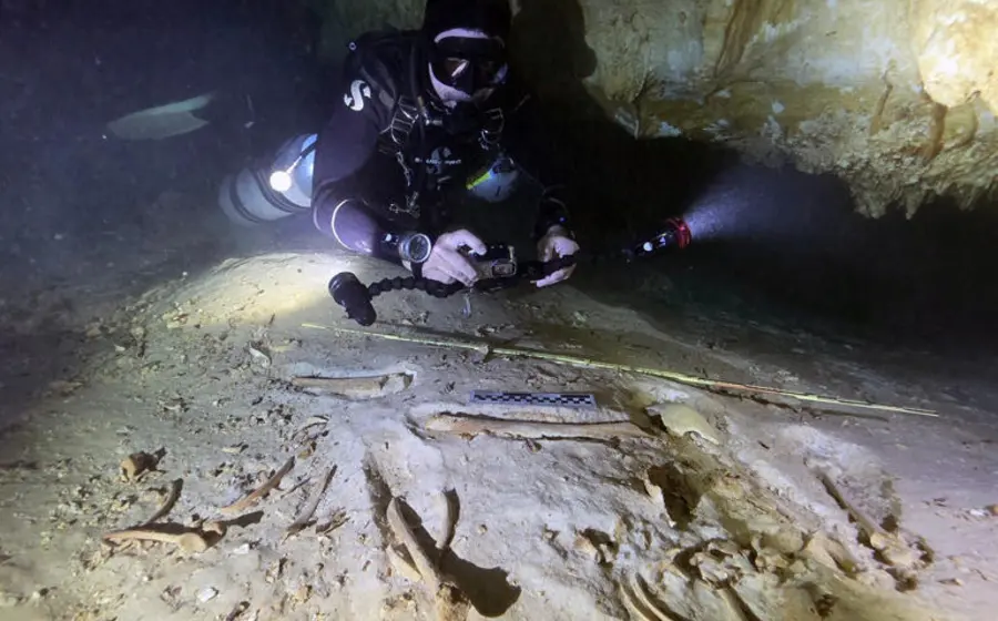 El esqueleto prehistórico descubierto yace dentro de una cueva, como parte del hallazgo de una tumba bajo un cenote en el Caribe.