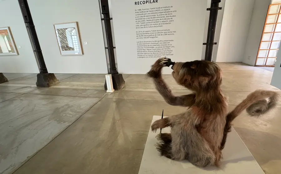 Una vista de la exposición de arte 'Variaciones del papel. Capítulo III: Recopilar y editar' instalada en una de las salas del CaSa.