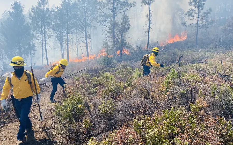 Tres incendios intencionales y más de mil hectáreas afectadas en Oaxaca.