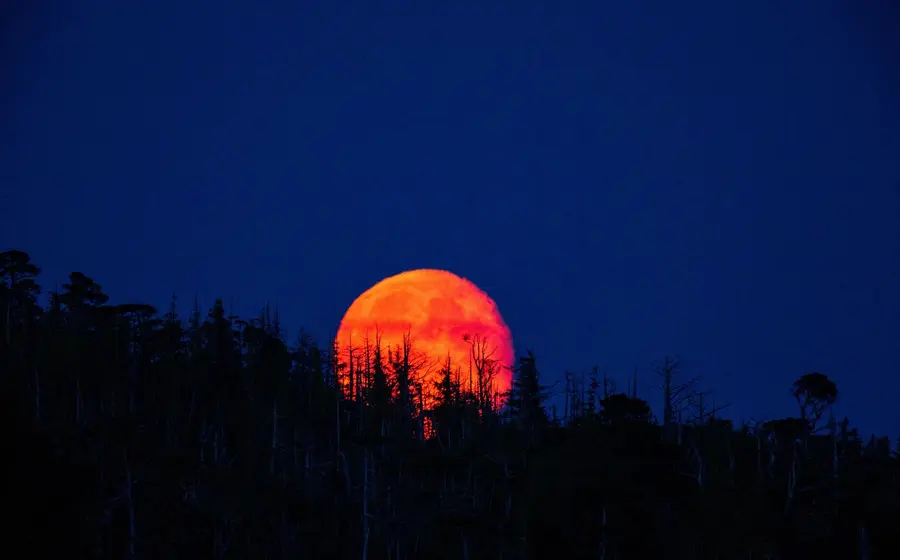 La impresionante Luna de Sangre ilumina el cielo nocturno con un tono rojizo, un espectáculo que evoca antiguas historias y temores.