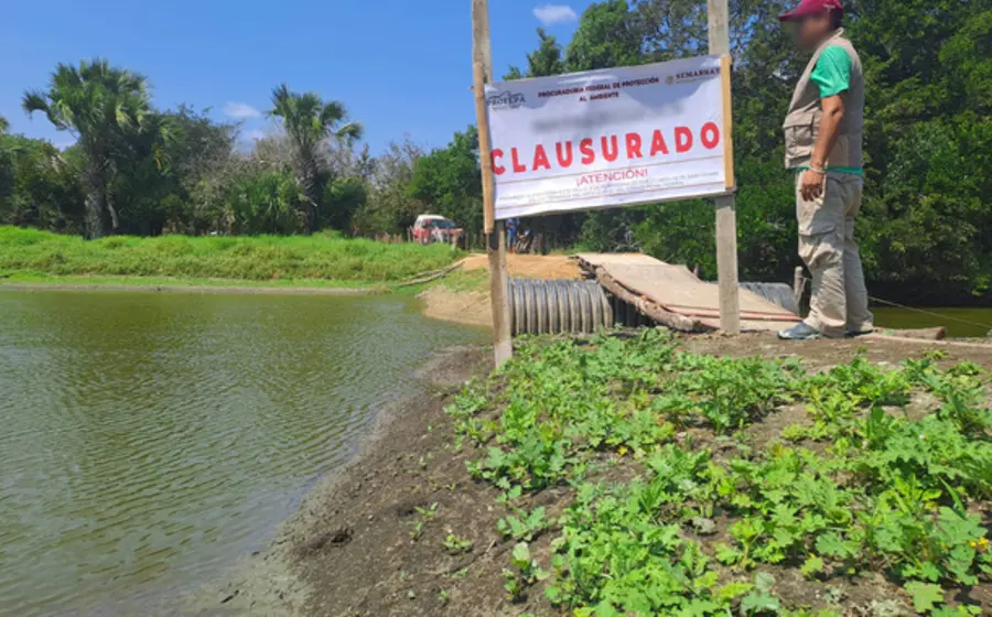 Construcción ilegal en humedal costero provoca clausura inmediata.