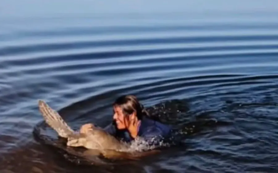 Un grupo de voluntarios ayuda a más de 400 tortugas marinas a regresar al mar en Playa Escobilla después de ser rescatadas.