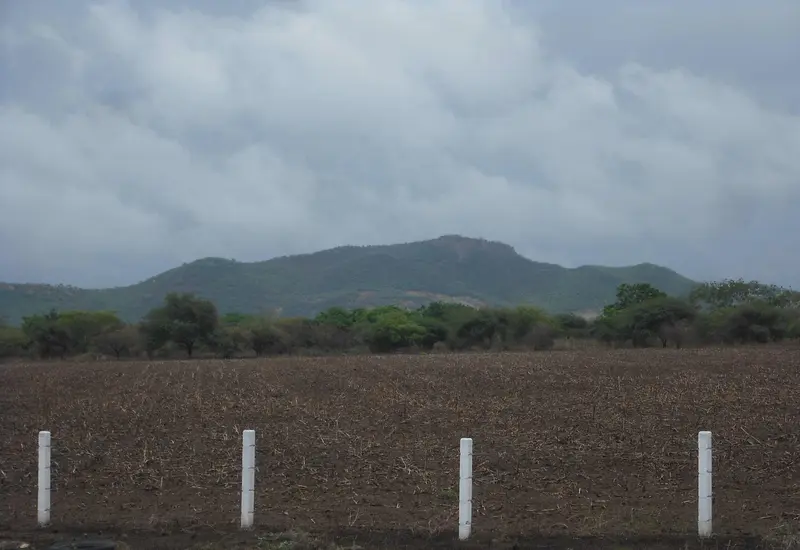 Los trabajadores rurales denuncian abandono institucional del campo.