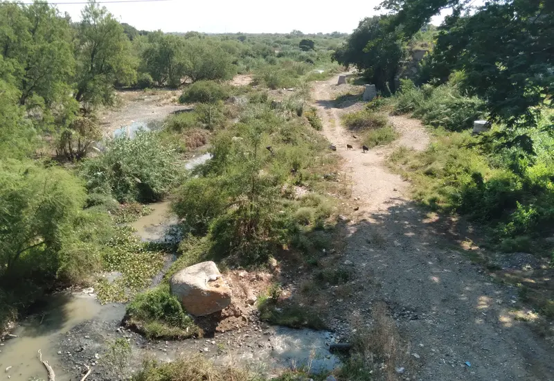 El río Tehuantepec recibe descargas constantes de aguas negras.