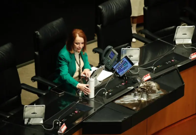 Laura Itzel Castillo, presidenta del Senado.
