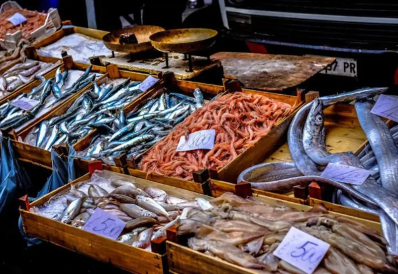 El género Betanodavirus representa el mayor riesgo para peces.