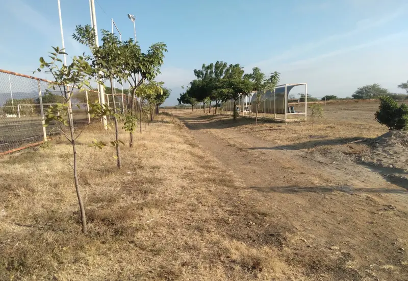 El proyecto “Sombra y Vida” ha transformado un espacio antes abandonado.