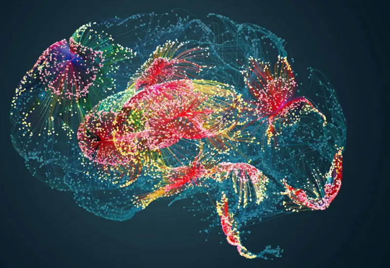 Hasta 80% de las neuronas visuales codifican objetos con un mismo patrón.