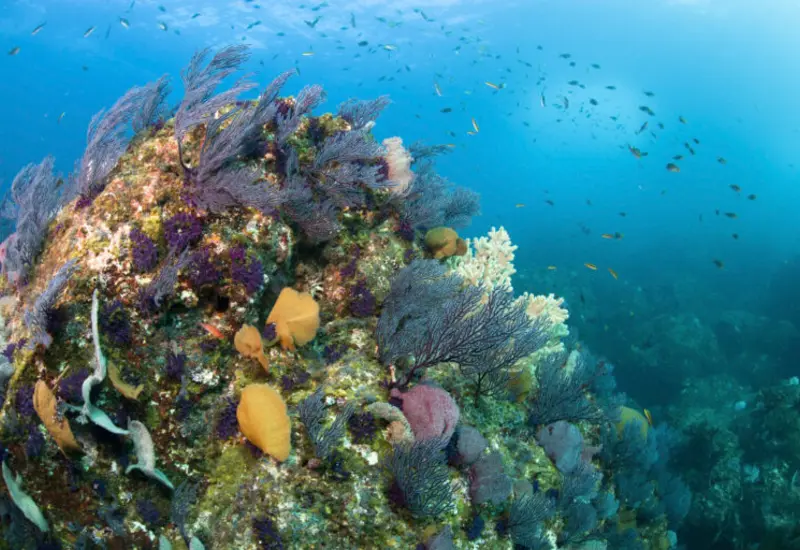 Una vista panorámica del mar, simbolizando el nuevo acuerdo clave que refuerza el compromiso del país con la protección de los océanos.