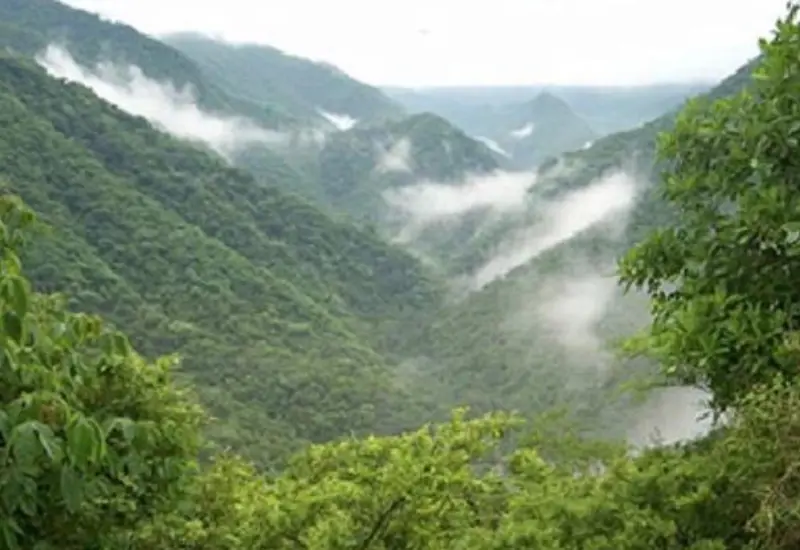 Vista panorámica de la selva de los Chimalapas en Oaxaca, región para la cual se emitió una alerta temprana por posibles riesgos ambientales.
