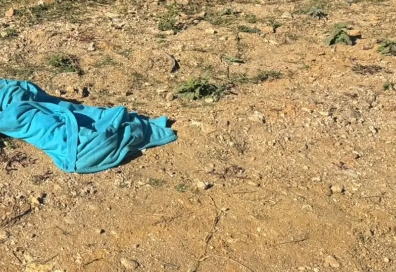 Fotografía que muestra a la víctima, un niño de 10 años de edad, quien fue asesinado según los reportes de la noticia.