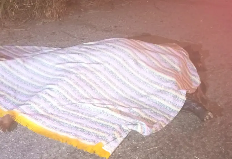Un automóvil volcado a un costado de la carretera federal 200 en San Miguel del Puerto Pochutla, tras un percance vehicular.